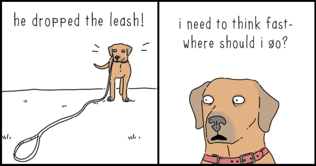 20 Witty Comics About What Animals Would Say if They Could Talk By Jimmy Craig
